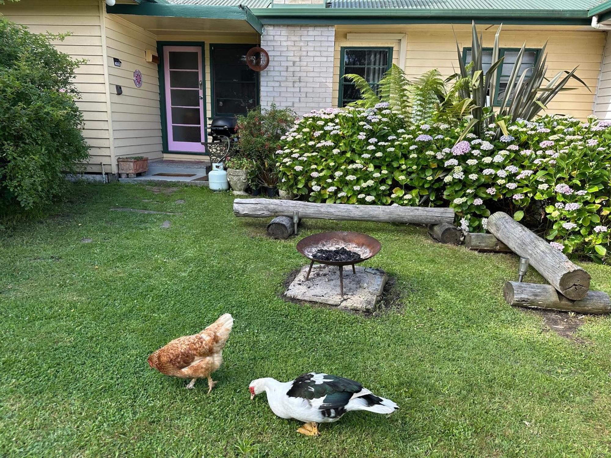 Bush Retreat Farm Stay 2 Bedroom Guest Suite Gelliondale Dış mekan fotoğraf